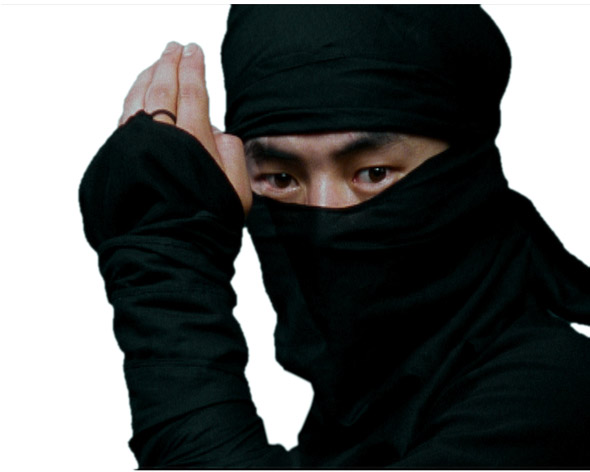 SEO Ninja's